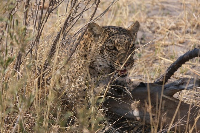 15 Day Mobile Camping Safari Botswana - Day 4: Moremi Game Reserve