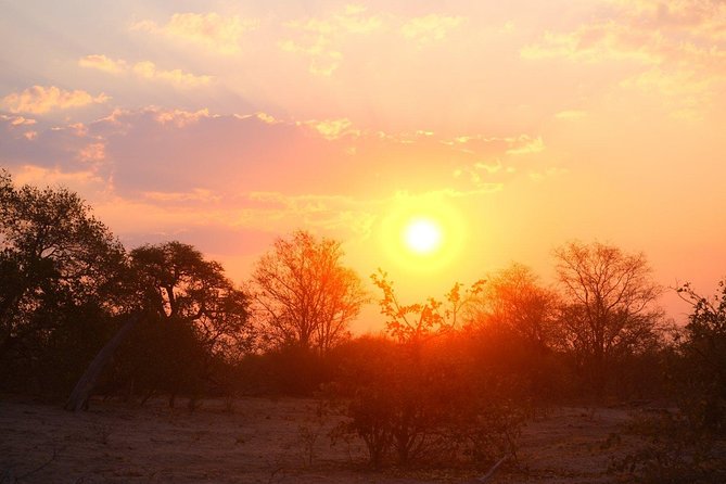 15 Day Mobile Camping Safari Botswana - Day 6: Chobe National Park