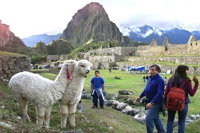 15-Day Peru Tour From Lima Including Paracas, Arequipa and Puno - Tour Pricing and Guarantee