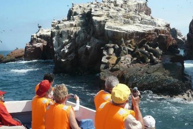 15-Day Peru Tour From Lima Including Paracas, Arequipa and Puno - Overview of the Tour