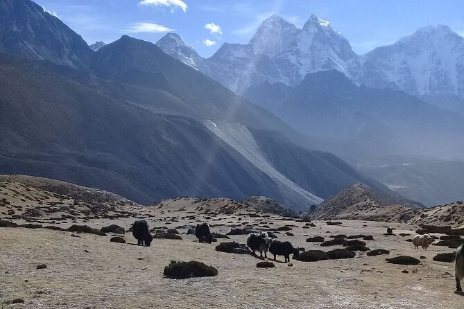 15-Day Private Everest Base Camp Trek From Nepal - Inclusions and Services