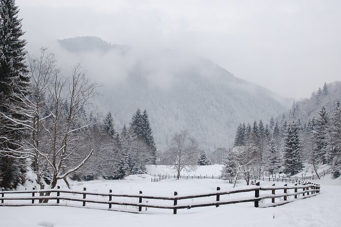 15-DAY Private Tour of Romania With Pick up - Pickup Logistics