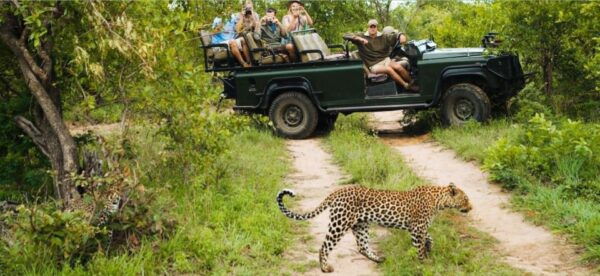 15 Day South Africa Tour Johannesburg to Cape Town - Frequently Asked Questions