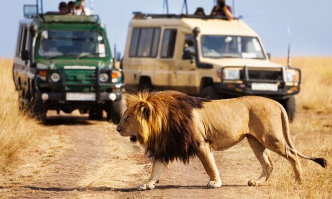 15 Day Tour Cape Town to Johannesburg - Additional Details
