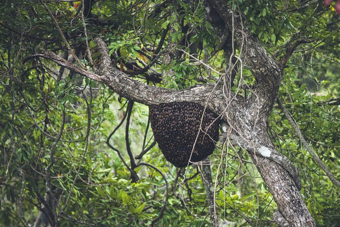 15-Day Tour in Sri Lanka With Private Driver - Cultural and Historical Sites