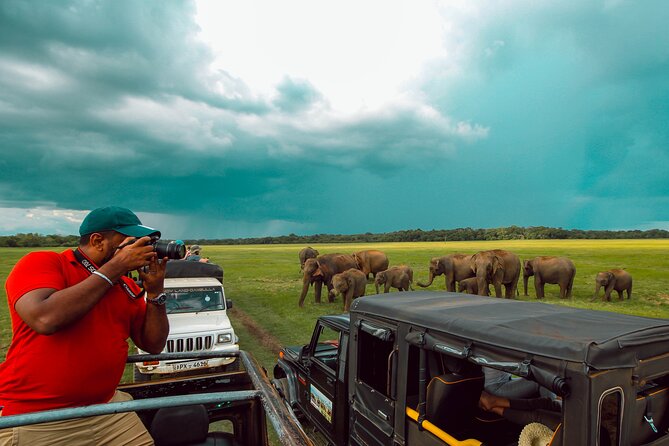 15-Day Tour in Sri Lanka With Private Driver - Transportation