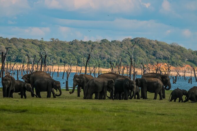 15-Day Tour in Sri Lanka With Private Driver - Cultural and Historical Sites