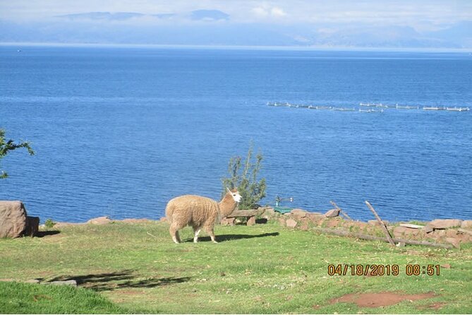 15-Day Tour of Peru Family Travel - Important Information