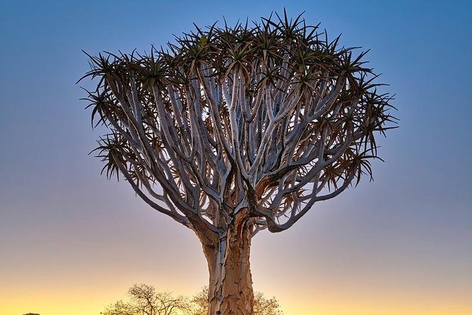 15 Days/ 14 Nights All About Namibia - Self-drive - Packing Essentials