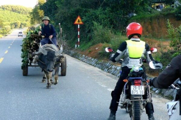 15 Days Adventuring Vietnam North to South by Motorcycle - Cultural Experiences