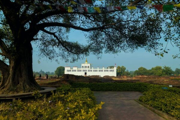 15 Days Buddhist Trail Tour in India & Nepal With Agra - Common Questions