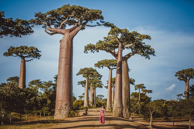 15 Days Details Madagascar - Meeting and Pickup Logistics