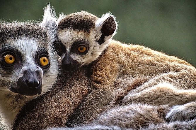 15 Days Details Madagascar - Tour Destination