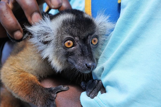 15 Days Details Madagascar - Price Details