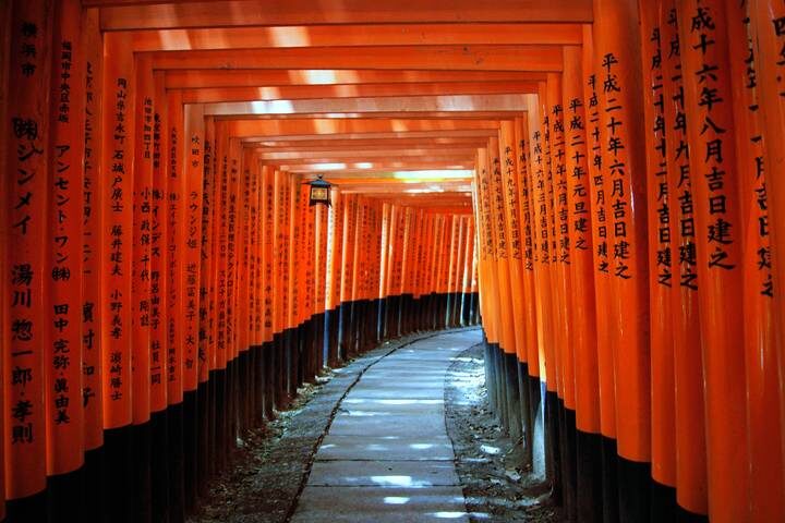 15 Days Discover Japan with Hiroshima by Tomato Travel - At a glance: what this Japan tour offers