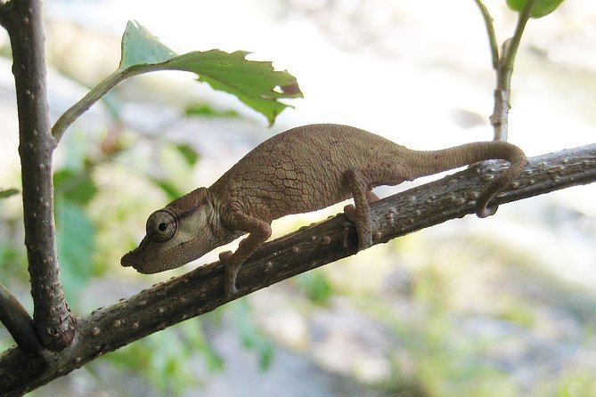 15 Days Exploring South and West of Madagascar - Accommodation Details