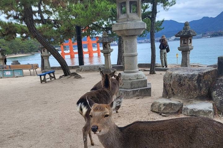 15 Days Japan Autumn Castles Expedition by UME Travel - Tokyo to Osaka - Hiroshima and Miyajima, with a meaningful change of pace