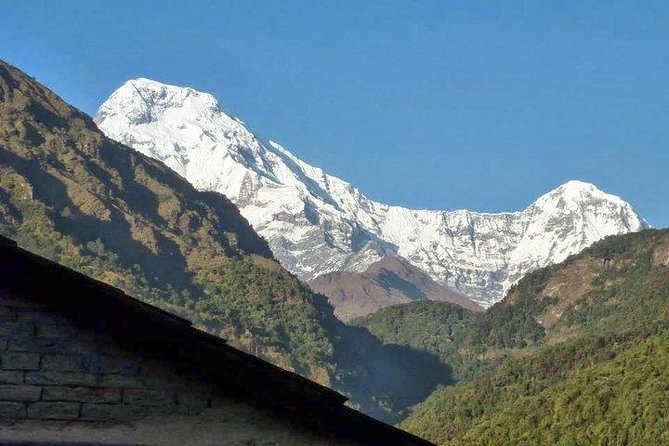 15 - Days Khopra Danda Trek - Day 5: Discovering the Hidden Beauty of Khayer Lake