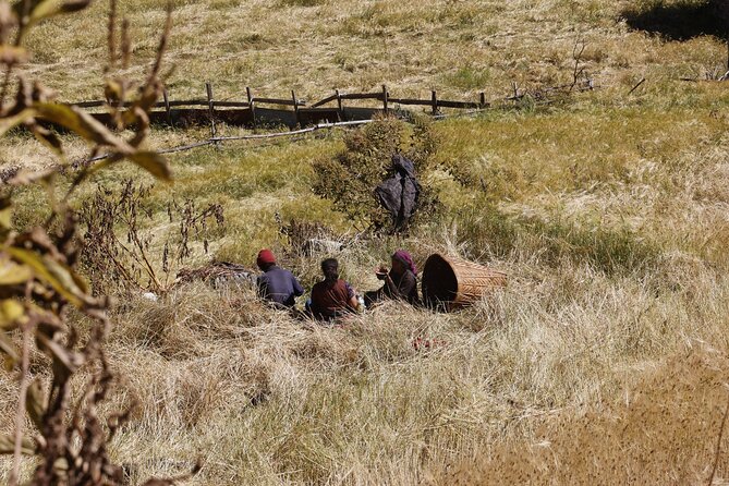 15 Days Manaslu Circuit Trek - Accommodation and Meals