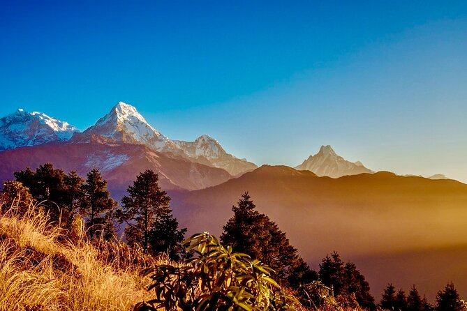 15 Days Manaslu Circuit Trek With Tsum Valley in Kathmandu - Day 4: Jagat to Lokpa
