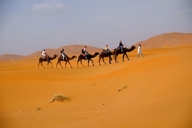 15 Days Morocco Desert Crossing From Marrakech - Accommodations