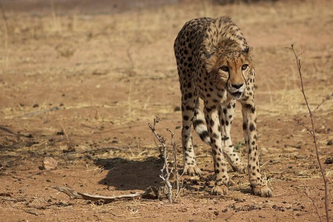 15 Days Namibia, Botswana and Zimbabwe - Optional Activities