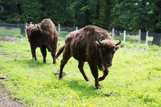 15 Days Private Tour in Romania, Moldova and Transnistria - Customer Reviews