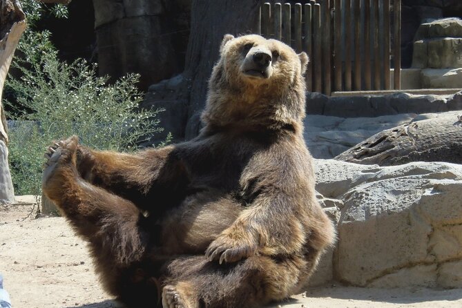 15 Days Private Tour in Romania, Moldova and Transnistria - Frequently Asked Questions