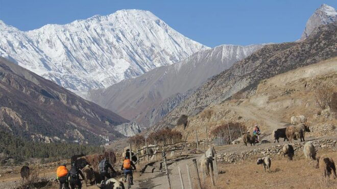 15 Days Tilicho Lake & Annapurna Circuit Trek From Kathmandu - Essential Packing List