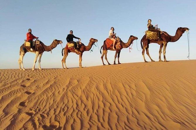 15 Days Tours All of Morocco From Casablanca - Meals Included