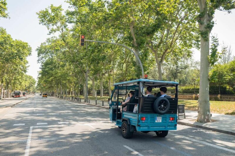 1,5-Hour Barcelona City & Beach Private Tuk-Tuk Tour - Who Will Love This Tour?