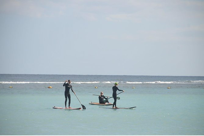 1,5-Hour Beginners Stand up Paddle Course in Caleta De Fuste - Questions and Contact Information