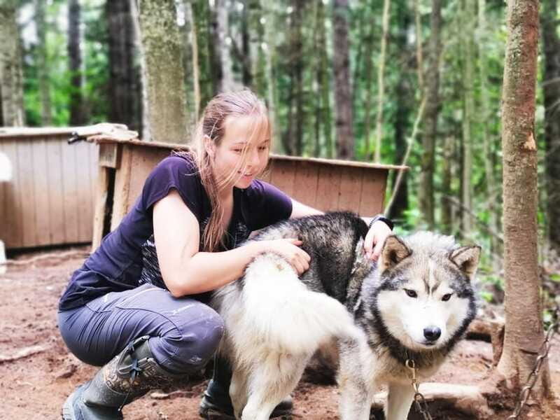 15 min. Tadoussac : Behind-the-Scenes Sled Dog Kennel Tour - Final Thoughts: Is It Worth It?