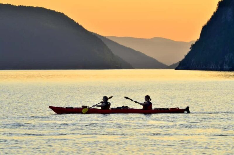 15 min Tadoussac: Guided Sea Kayaking Adventure - What Reviewers Say: Authentic Perspectives