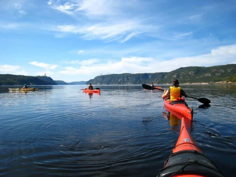 15 min Tadoussac: Guided Sea Kayaking Adventure - Who Should Consider This Tour?