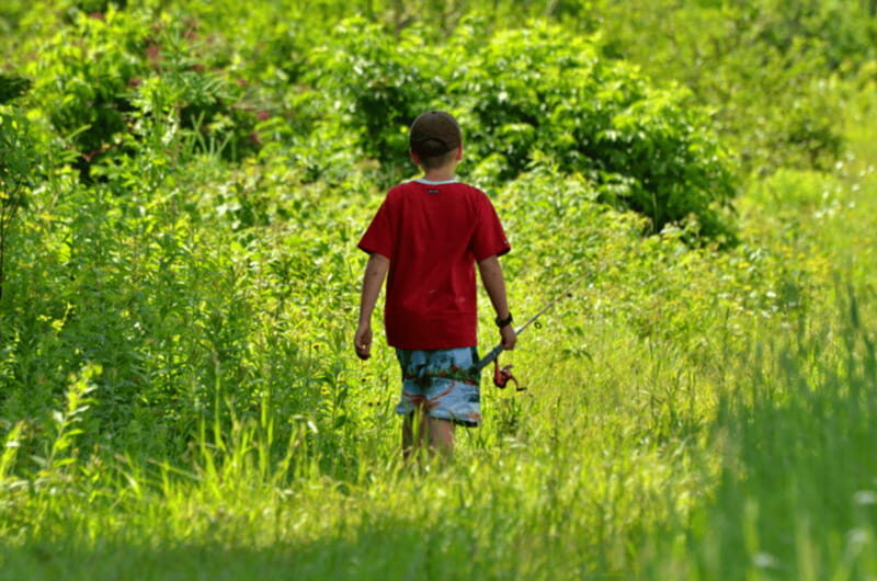 15 min. Tadoussac : Trout Fishing Experience - An Up-Close Look at the Trout Fishing Experience