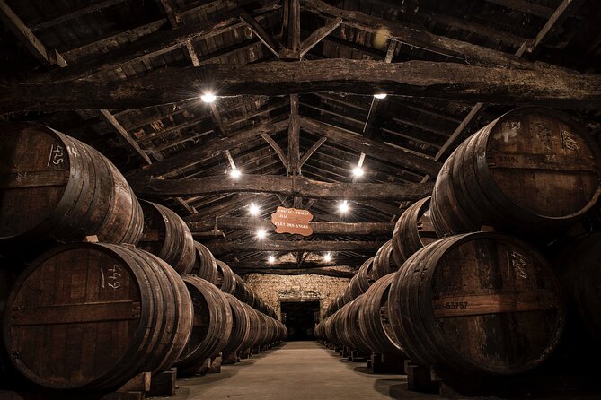 150-Minute VIP Visit of a Vineyard in Segonzac With Cocktail Break - Pricing and Packages