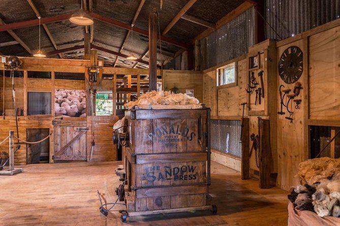 15,000ft Tandem Skydive in Bay of Plenty - Final Thoughts