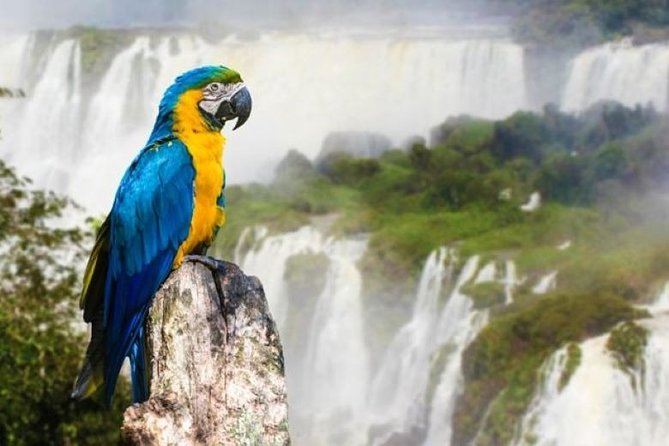 16-Day South America Tour: Argentina, Uruguay, Iguazu Falls and Rio De Janeiro - Transportation Information