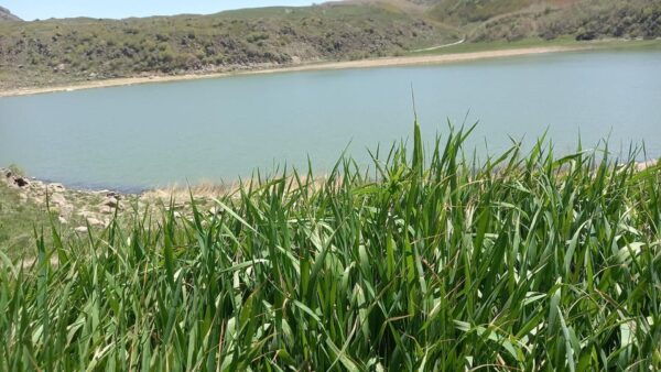 16-Days Private South East and South Turkey Tour With Guide - Booking Details