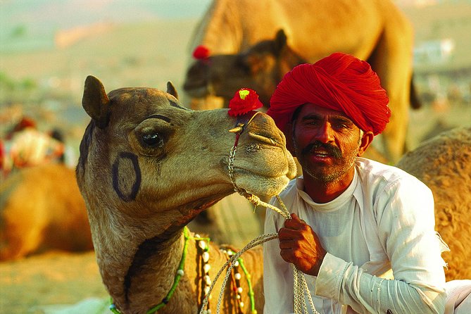 16-Days Rajasthan Tour With Agra From Delhi By,Includes,Guide,Hotels,A-C Vehicle - Inclusions and Amenities