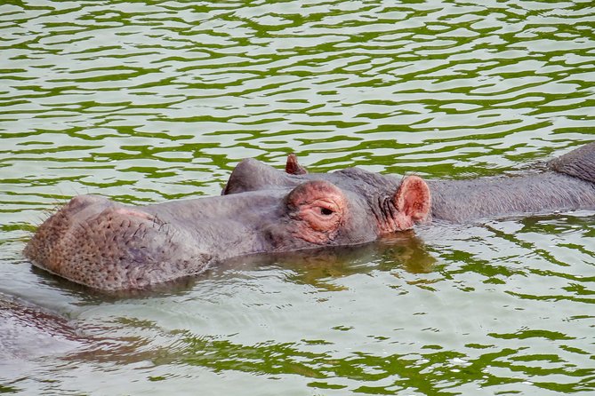 16 Days Uganda Wildlife Safari Holiday - Safety and Health Measures