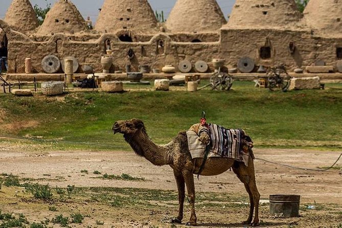 17-Day Flying Explorer Tour From Istanbul - From West to East - Common Questions