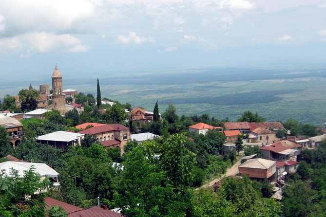 17 Day Private Tour Through Georgia - Tour Overview