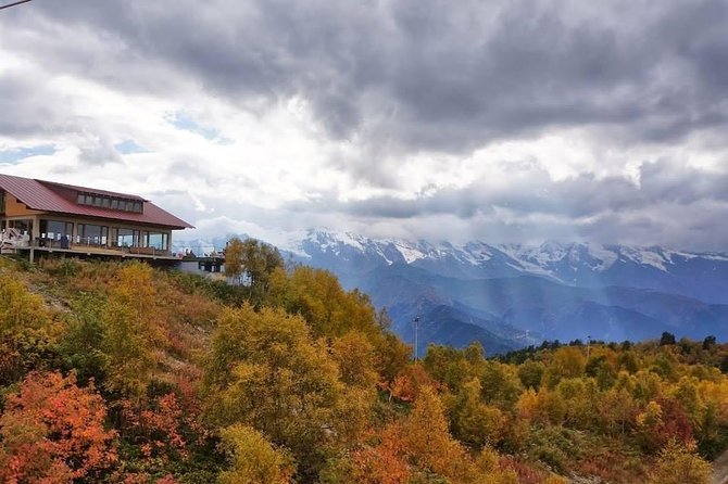 17 Day Private Tour Through Georgia - Customer Reviews