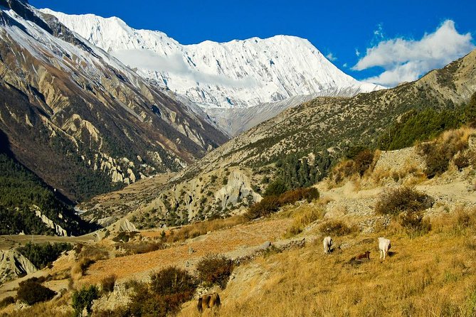 17 Days Adventurous Annapurna Tilicho Pass Trekking - Trekking Itinerary