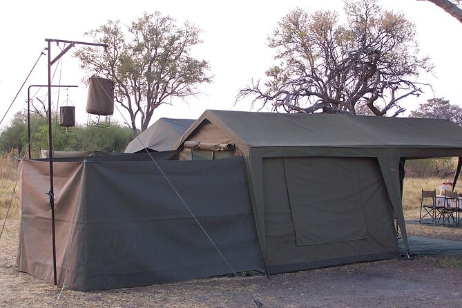 17 Days Buffalo Track Botswana Private Tour - Pickup Details