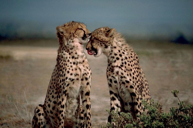 18 Day Wildlife, Landscapes and Cultural Safari (Lodging) - Accommodation Details