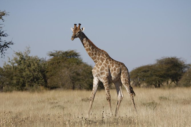 18 Day Wildlife, Landscapes and Cultural Safari (Lodging) - Cultural Experiences