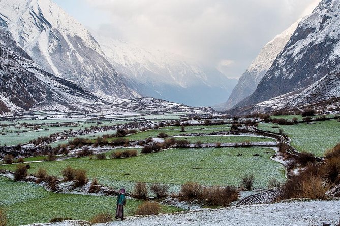 18 Days Tsum Valley Homestay & Camping Trek - Inclusions